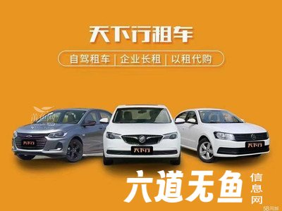 公司包月租车找天下行租车! 公司包月租车找天下行租车!