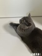 <font color='÷ӿ'>Ѱèʾ</font>